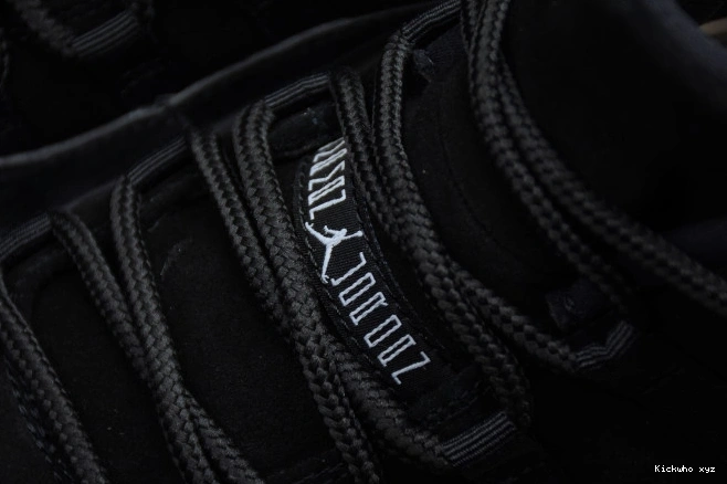 Low Air 528895-010 Jordan Retro 11 
